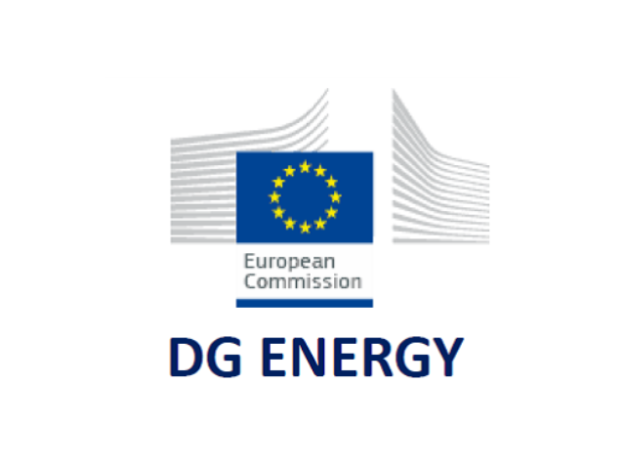 DG ENERGY(640×480)